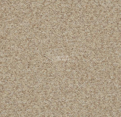 Tessera Basis 377 Vanilla фото 1 | FLOORDEALER